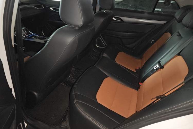 Used Geely Auto Emgrand New Energy 2018 EV450 Ambition Model Left Rear Seat