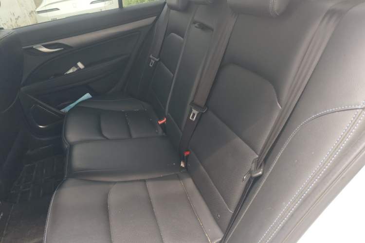 Used Geely Auto Emgrand New Energy 2018 EV450 Elite Model Left Rear Seat
