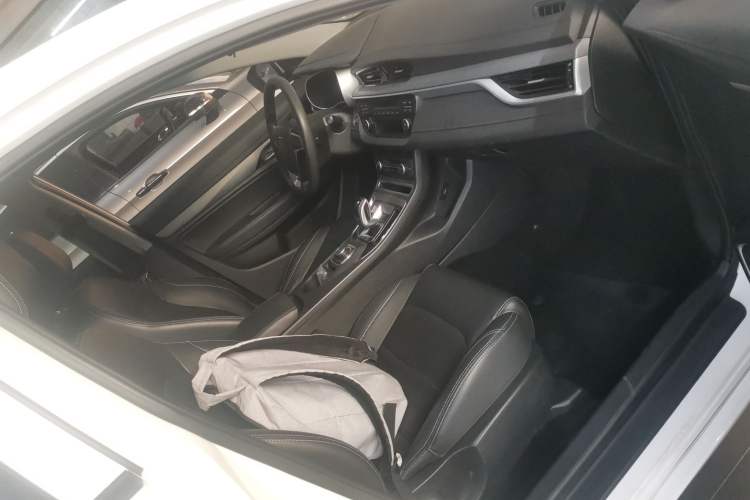 Used Geely Auto Emgrand New Energy 2018 EV450 Ambition Model Right Front Seat