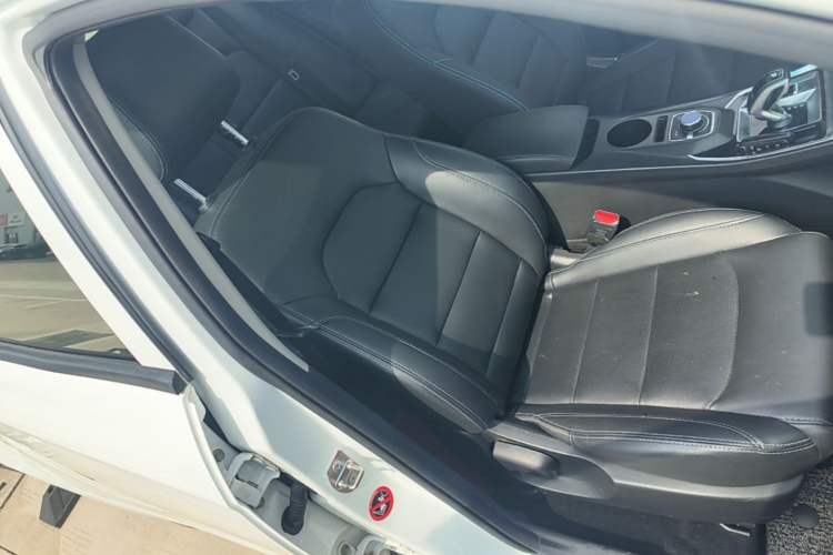 Used Geely Auto Emgrand New Energy 2018 EV450 Ambition Model Right Front Seat
