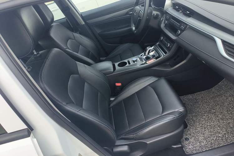 Used Geely Auto Emgrand New Energy 2018 EV450 Ambition Model Right Front Seat