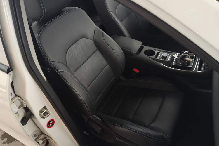 Used Geely Auto Emgrand New Energy 2018 EV450 Ambition Model Right Front Seat