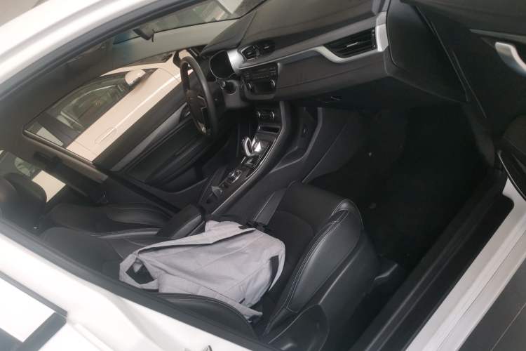 Used Geely Auto Emgrand New Energy 2018 EV450 Ambition Model Right Front Seat