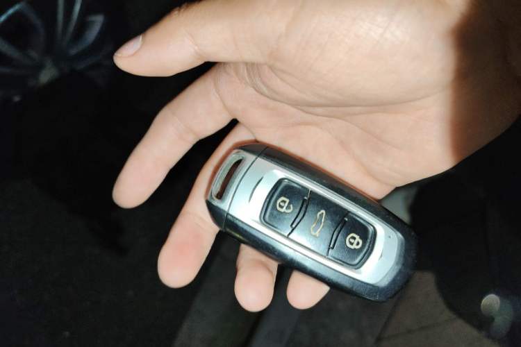 Used Geely Auto Emgrand New Energy 2018 EV450 Ambition Model Vehicle Key