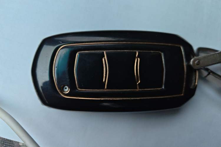 Used Geely Auto Emgrand New Energy 2018 EV450 Ambition Model Vehicle Key