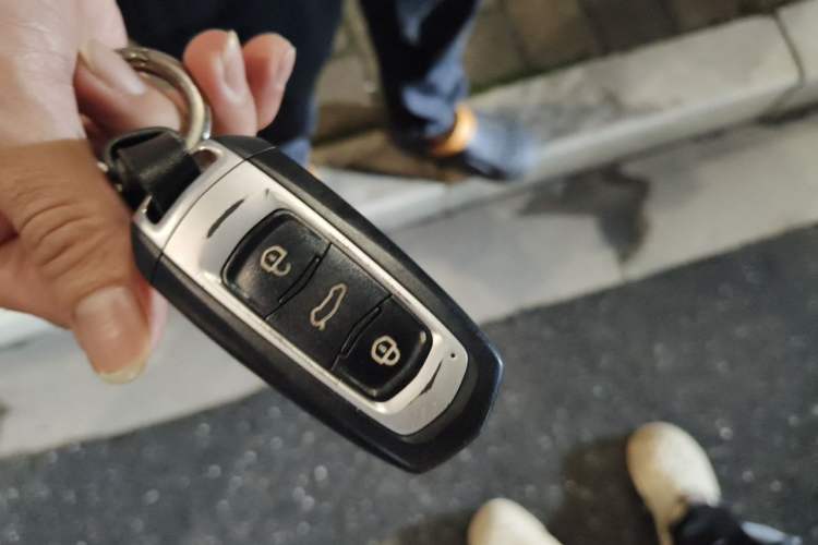 Used Geely Auto Emgrand New Energy 2018 EV450 Ambition Model Vehicle Key