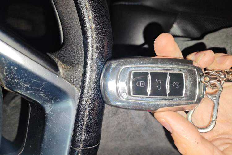 Used Geely Auto Emgrand New Energy 2018 EV450 Ambition Model Vehicle Key