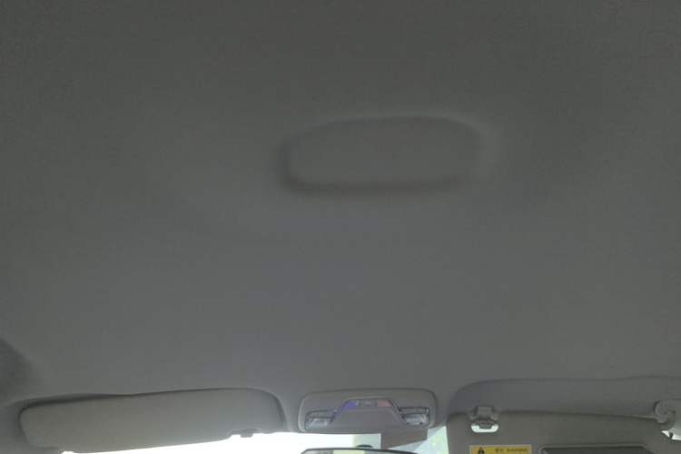 Used Geely Auto Emgrand New Energy 2019 EV500 Ambition Standard Range Edition Headliner