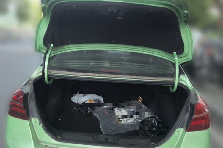 Used Geely Auto Emgrand New Energy 2019 EV500 Ambition Standard Range Edition Trunk