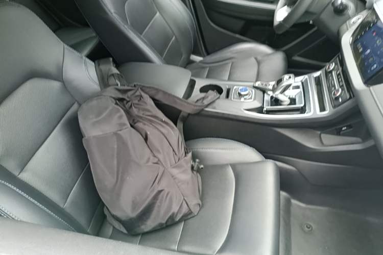 Used Geely Auto Emgrand New Energy 2019 EV500 Ambition Standard Range Edition Right Front Seat