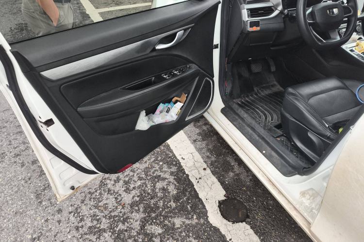 Used Geely Auto Emgrand New Energy 2019 EV500 Ambition Standard Range Edition Driver Seat