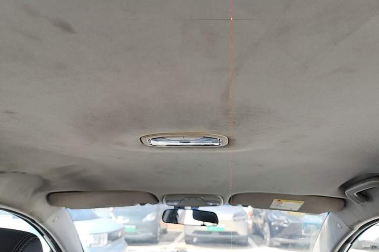 Used Geely Auto Emgrand New Energy 2019 EV500 Ambition Standard Range Edition Headliner