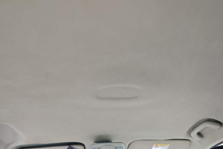 Used Geely Auto Emgrand New Energy 2019 EV500 Ambition Standard Range Edition Headliner