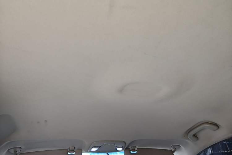 Used Geely Auto Emgrand New Energy 2019 EV500 Ambition Standard Range Edition Headliner