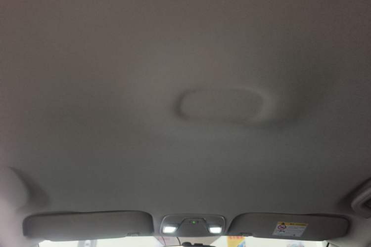 Used Geely Auto Emgrand New Energy 2019 EV500 Ambition Standard Range Edition Headliner
