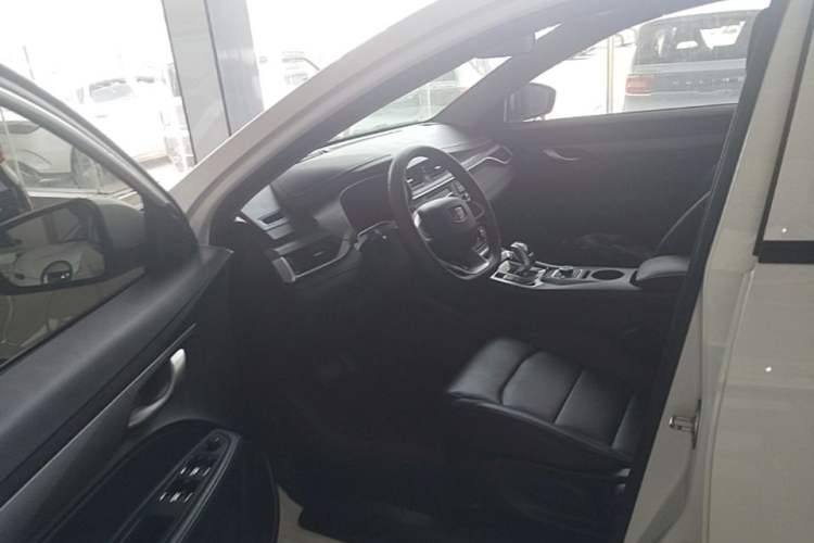 Used Geely Auto Emgrand New Energy 2019 EV500 Ambition Standard Range Edition Left Front Seat