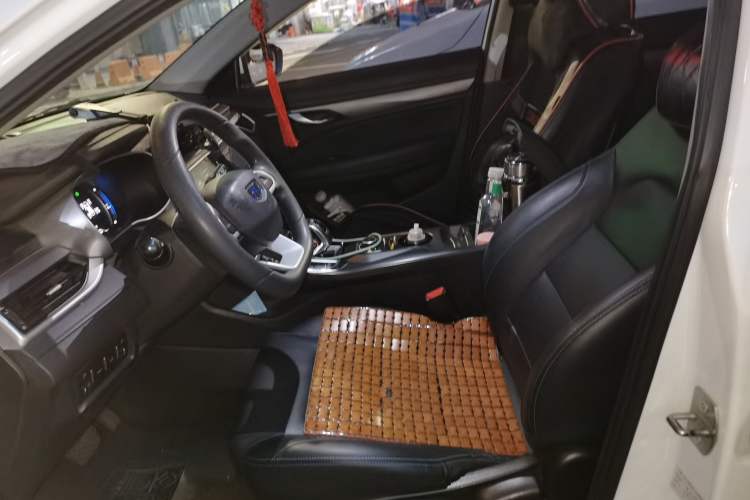 Used Geely Auto Emgrand New Energy 2019 EV500 Ambition Standard Range Edition Left Front Seat