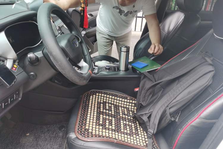 Used Geely Auto Emgrand New Energy 2019 EV500 Ambition Standard Range Edition Left Front Seat