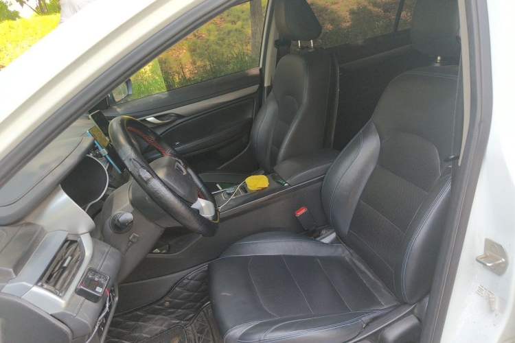 Used Geely Auto Emgrand New Energy 2019 EV500 Ambition Standard Range Edition Left Front Seat