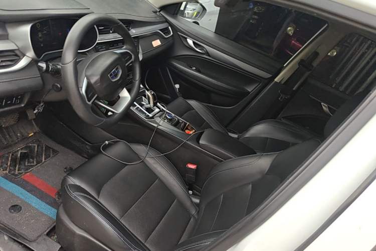 Used Geely Auto Emgrand New Energy 2019 EV500 Ambition Standard Range Edition Left Front Seat