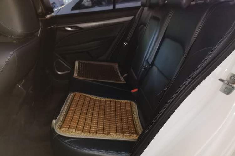 Used Geely Auto Emgrand New Energy 2019 EV500 Ambition Standard Range Edition Left Rear Seat
