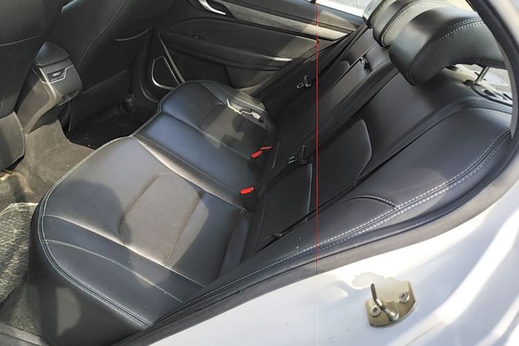 Used Geely Auto Emgrand New Energy 2019 EV500 Ambition Standard Range Edition Left Rear Seat