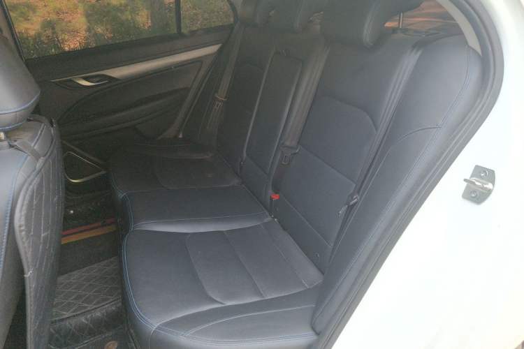 Used Geely Auto Emgrand New Energy 2019 EV500 Ambition Standard Range Edition Left Rear Seat