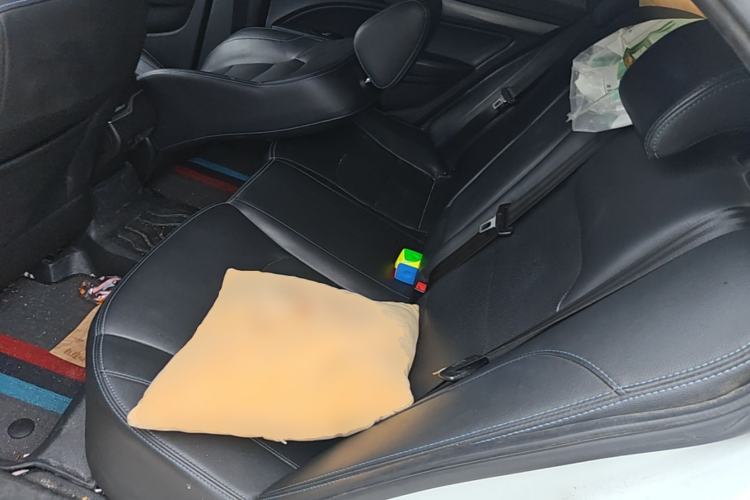 Used Geely Auto Emgrand New Energy 2019 EV500 Ambition Standard Range Edition Left Rear Seat