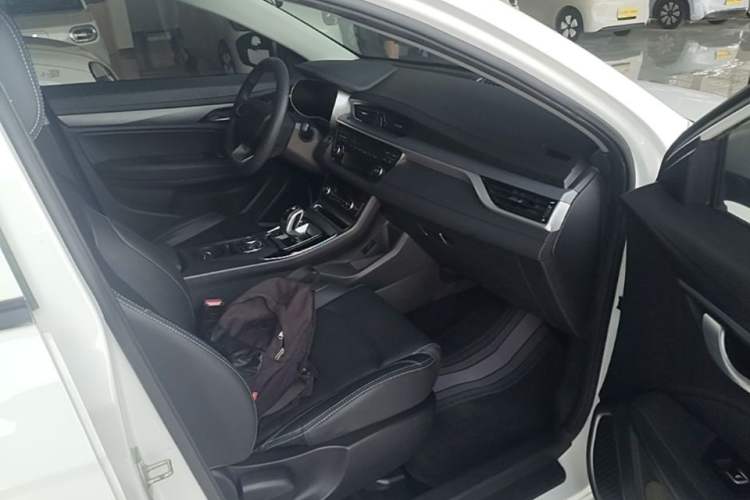 Used Geely Auto Emgrand New Energy 2019 EV500 Ambition Standard Range Edition Right Front Seat