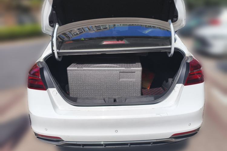 Used Geely Auto Emgrand New Energy 2019 EV500 Ambition Standard Range Edition Trunk