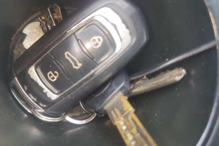 Used Geely Auto Emgrand New Energy 2019 EV500 Ambition Standard Range Edition Vehicle Key