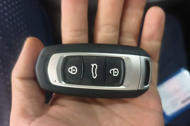 Used Geely Auto Emgrand New Energy 2019 EV500 Ambition Standard Range Edition Vehicle Key