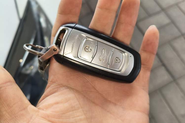 Used Geely Auto Emgrand New Energy 2019 EV500 Ambition Standard Range Edition Vehicle Key