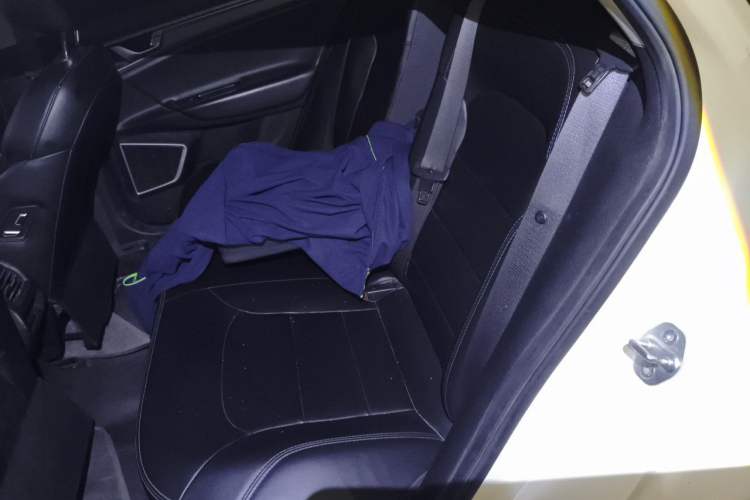 Used Geely Auto Emgrand New Energy 2021 EV Pro Ride-Hailing Edition Left Rear Seat