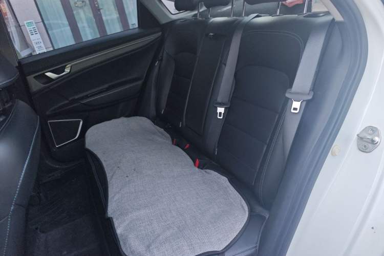 Used Geely Auto Emgrand New Energy 2021 EV Pro Ride-Hailing Edition Left Rear Seat