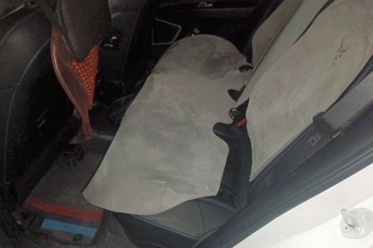 Used Geely Auto Emgrand New Energy 2021 EV Pro Ride-Hailing Edition Left Rear Seat