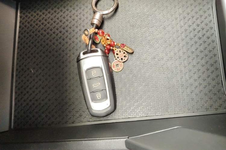 Used Geely Auto Emgrand New Energy 2022 EV Pro Ride-Hailing Version Lithium Iron Phosphate Vehicle Key