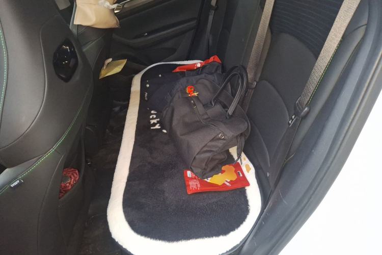 Used Geely Auto Emgrand S 2021 1.4T Manual Comfort Model Left Rear Seat