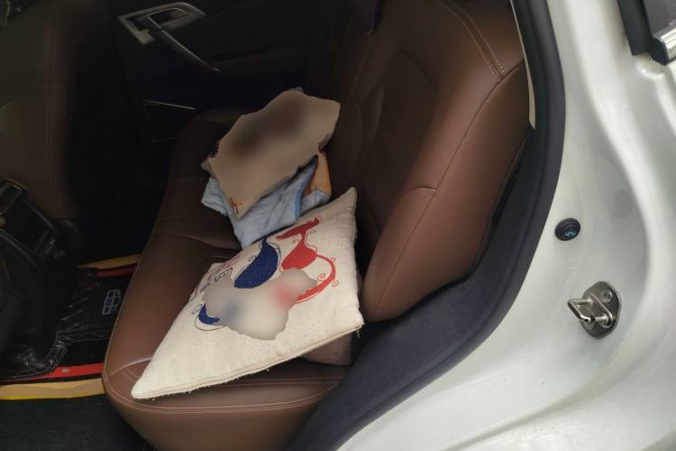 Used Geely Auto Emgrand X7 Sport 2016 1.8TD Automatic ZhiZun Version Left Rear Seat