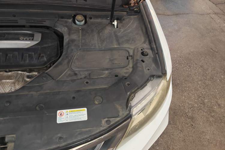 Used Geely Auto Emgrand X7 Sport 2018 2.0L Manual Two-Wheel Drive Zhiya Version Engine Bay Left