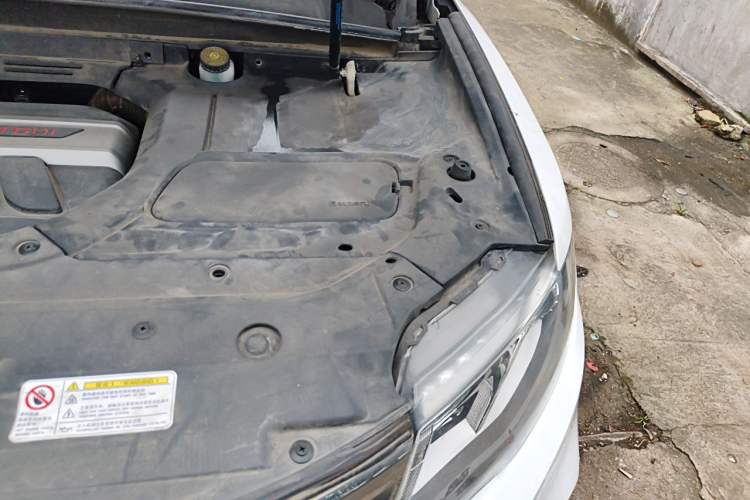 Used Geely Auto Emgrand X7 Sport 2018 1.8TD Automatic Two-Wheel Drive Zhiya Model Engine Bay Left