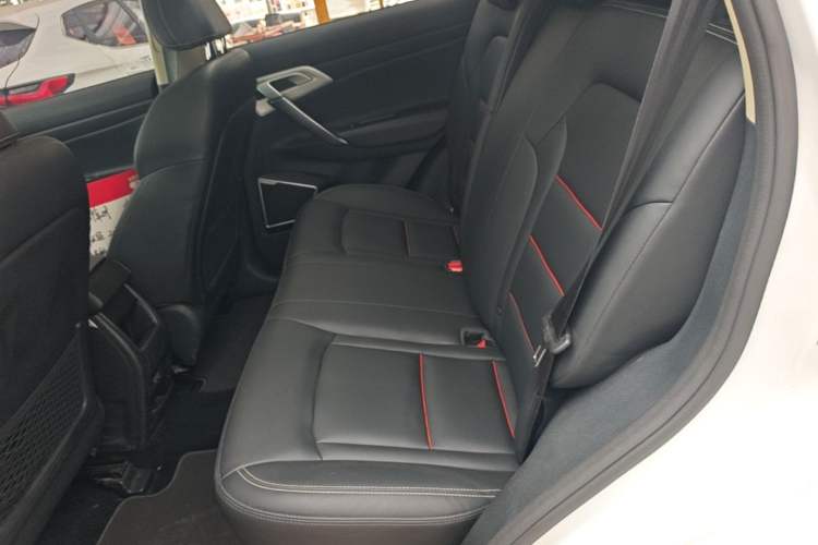 Used Geely Auto Emgrand X7 Sport 2018 2.0L Manual Two-Wheel Drive Zhiya Version Left Rear Seat