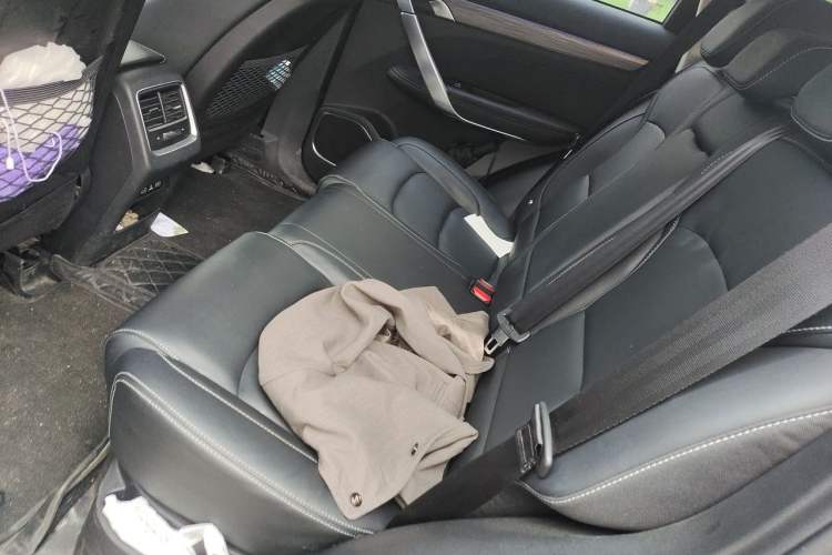Used Geely Auto Emgrand X7 Sport 2020 1.8TD DCT ZhiZun PRO Left Rear Seat