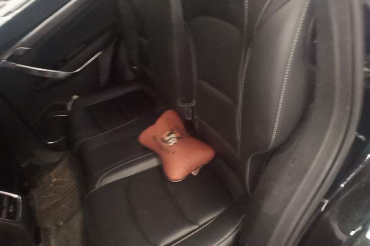 Used Geely Auto Emgrand X7 Sport 2020 1.8TD DCT Smart Connect PRO Left Rear Seat