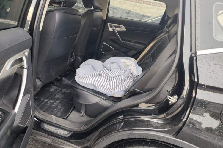 Used Geely Auto Emgrand X7 Sport 2020 1.8TD DCT Two-Wheel Drive Smart Connect 4G-Enabled Version Left Rear Seat
