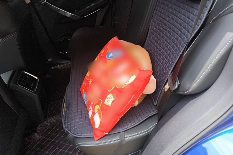Used Geely Auto Emgrand X7 Sport 2020 1.8TD DCT Smart Connect PRO Left Rear Seat