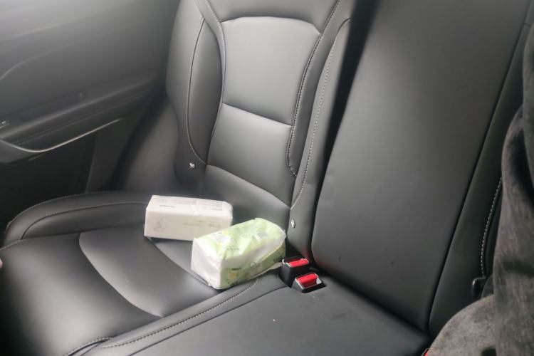 Used Geely Auto Emgrand X7 Sport 2020 1.5TD Automatic Smart Connect PRO Left Rear Seat