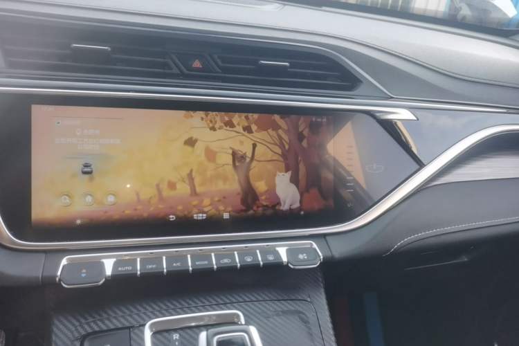 Used Geely Auto Emgrand X7 Sport 2020 1.8TD DCT Smart Connect PRO Audio And AC Panel
