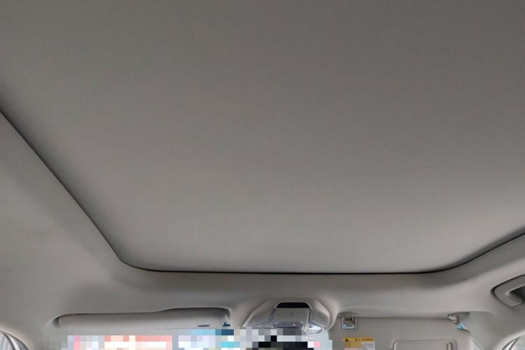 Used Geely Auto Emgrand X7 Sport 2020 1.8TD DCT Smart PRO Headliner