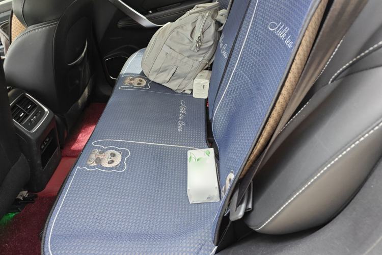 Used Geely Auto Emgrand X7 Sport 2020 1.8TD DCT Smart Connect PRO Left Rear Seat
